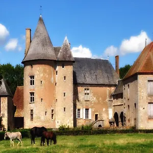 Couette-café Château Du Max Le Theil (Allier)